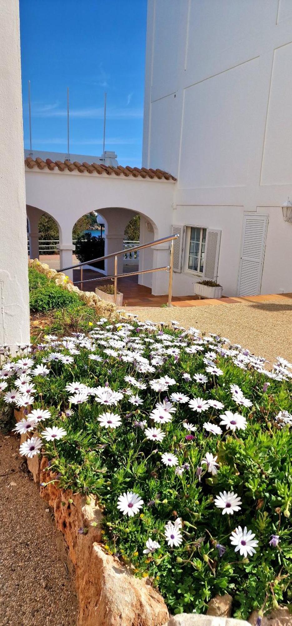 Apartment Castellsol 105. *